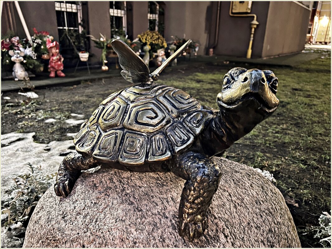 Черепашка. - Валерия Комова Черепашка. - Валерия Комова