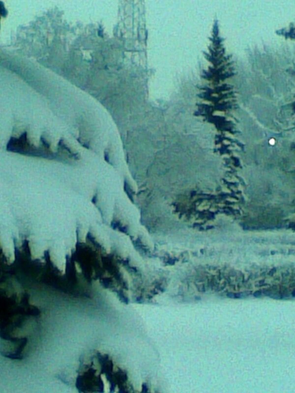 ,,, - Сергей Тимоновский