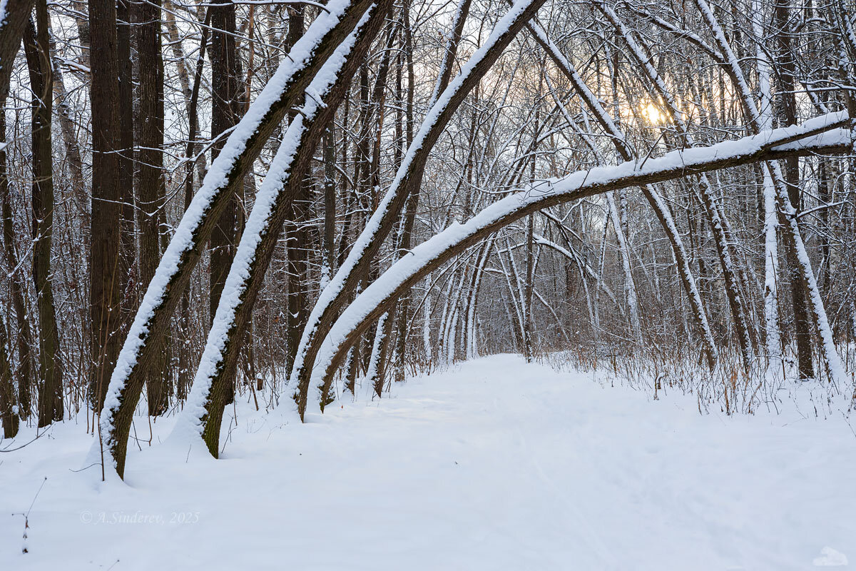 Зимний коридор - Александр Синдерёв