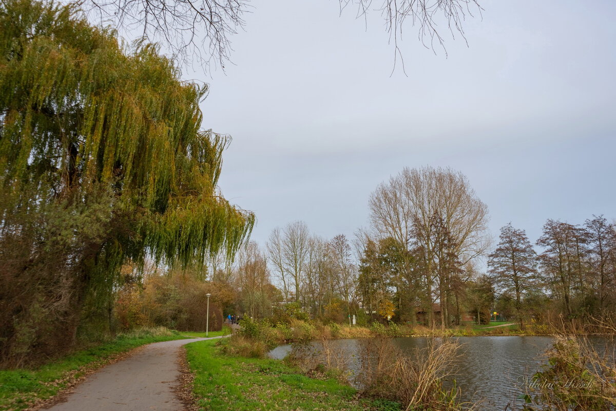 В конце осени... - Николай Гирш В конце осени... - Николай Гирш