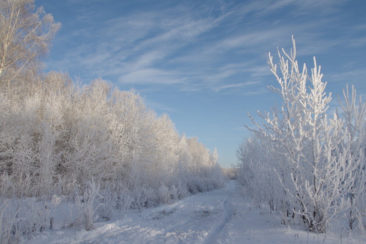 Зимний день - Сергей Швечков