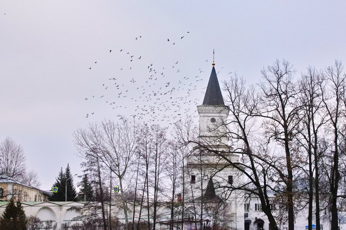 Николо-Угрежский монастырь - Тамара Вебер