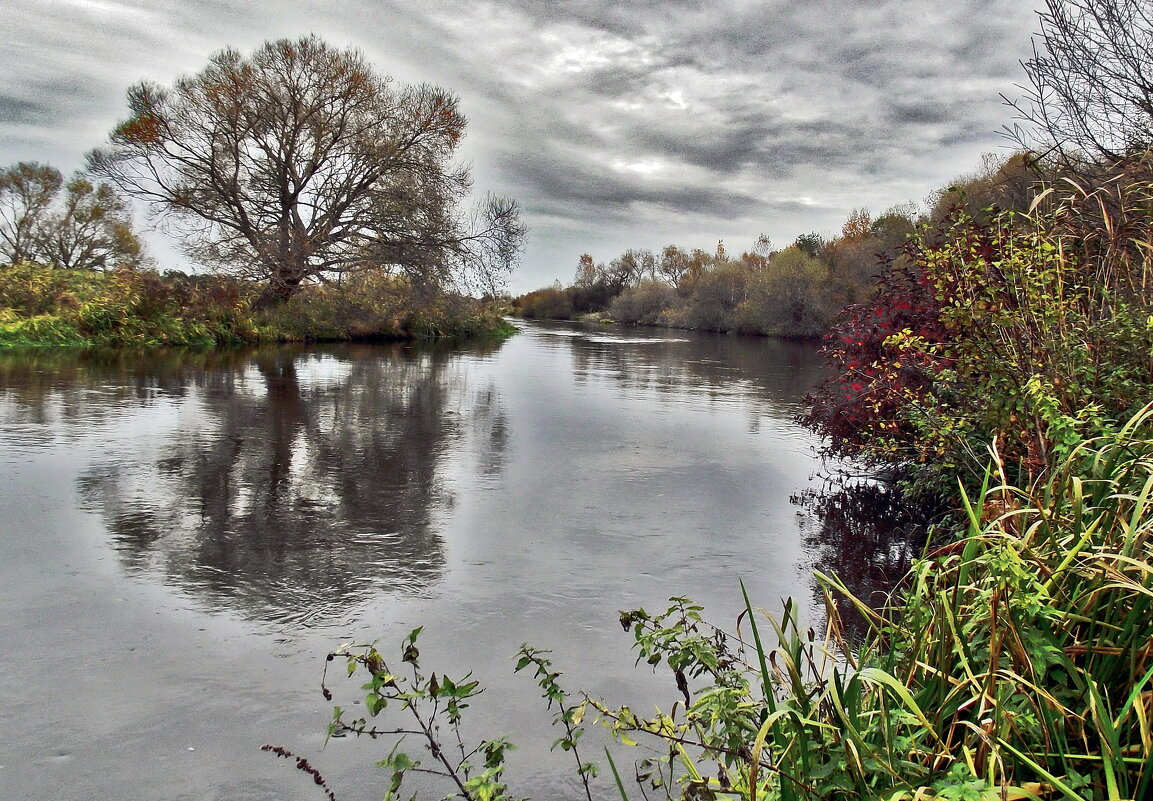 р. Свислочь - Ион Круглик р. Свислочь - Ион Круглик
