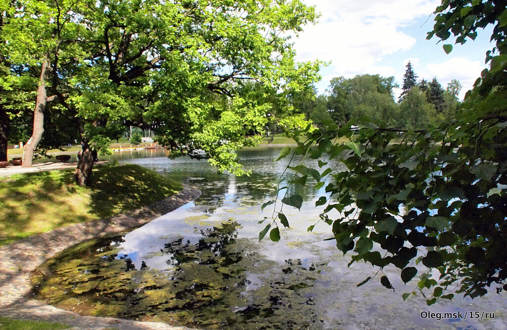 парки в городе - Олег Лукьянов парки в городе - Олег Лукьянов