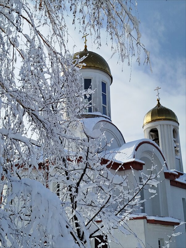 Светлое! - Надежда 