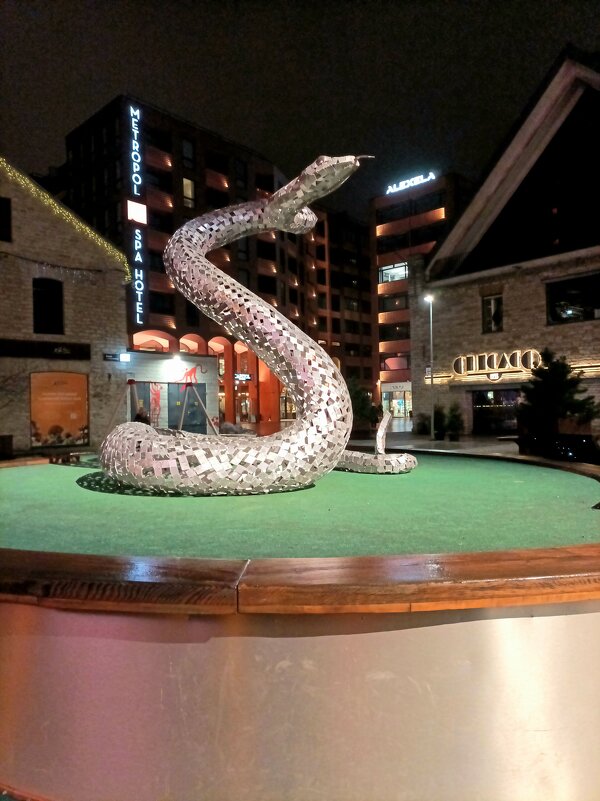 Сверкающее начало года Змеи ) - Veera V Сверкающее начало года Змеи ) - Veera V