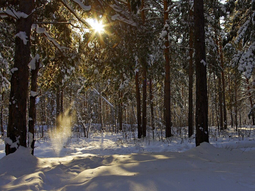 Солнечный луч - Сергей Швечков