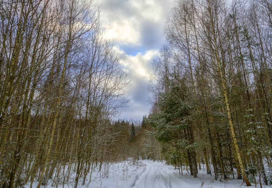 Зимняя дорожка - Сергей Цветков