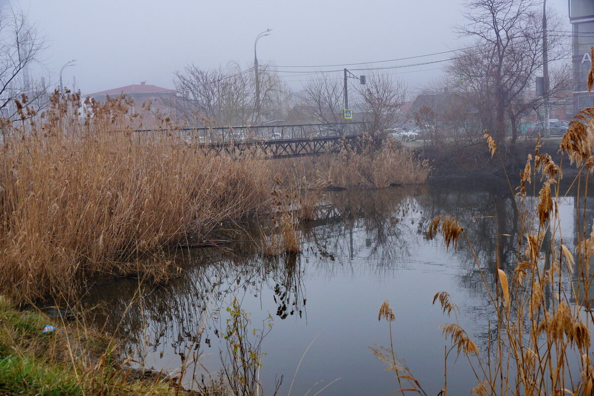 Туман над озером... - Николай Саржанов Туман над озером... - Николай Саржанов