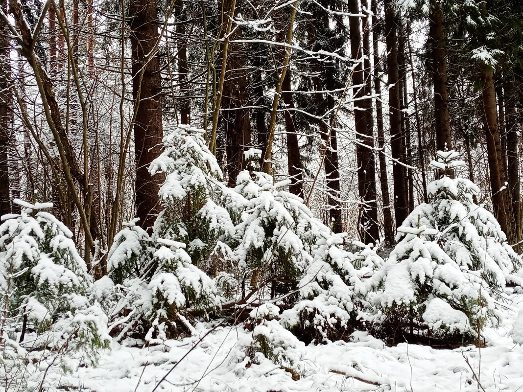 .. - оксана .. - оксана