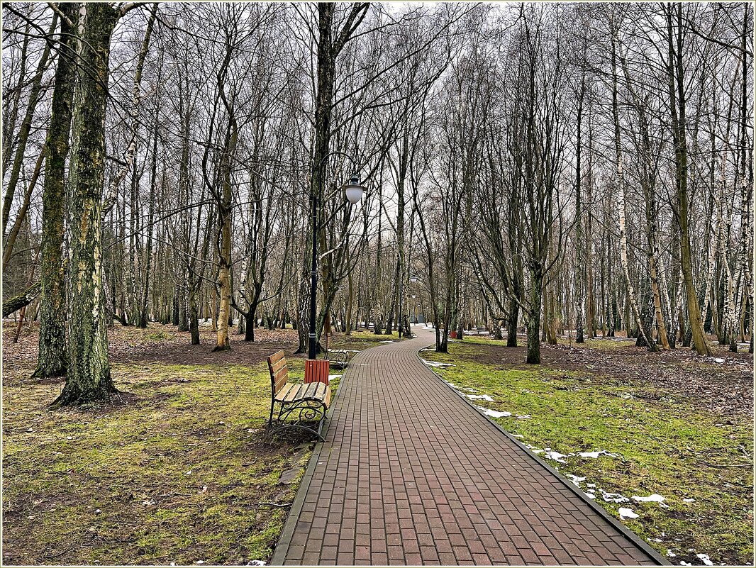 В зимнем парке. - Валерия Комова В зимнем парке. - Валерия Комова