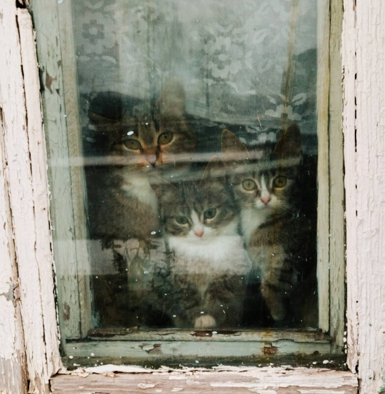 Дети уже догоняют маму) - Галина Бобкина