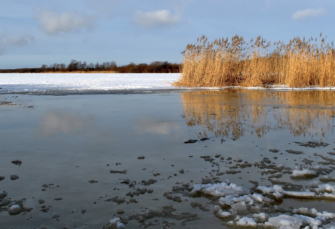 Февраль - AleksSPb Лесниченко Февраль - AleksSPb Лесниченко