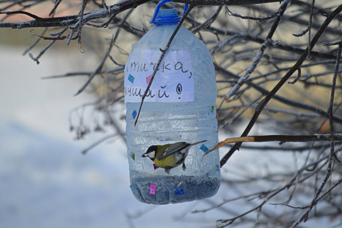 Птичка, кушай! - Татьяна Лютаева