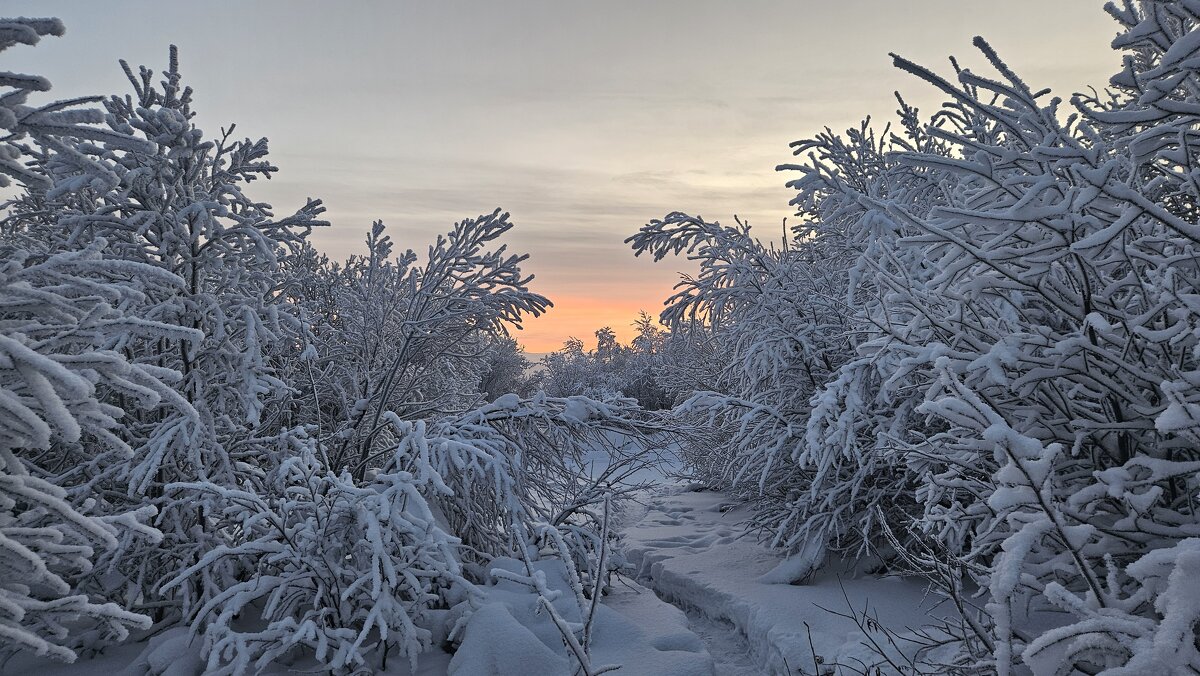 Мороз и солнце... - Сергей Черник Мороз и солнце... - Сергей Черник