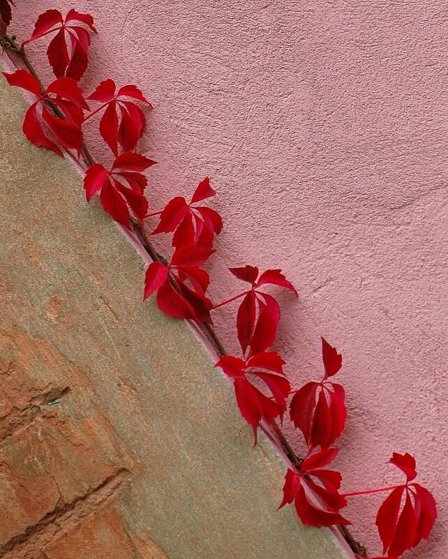 . - Александр Хоменко