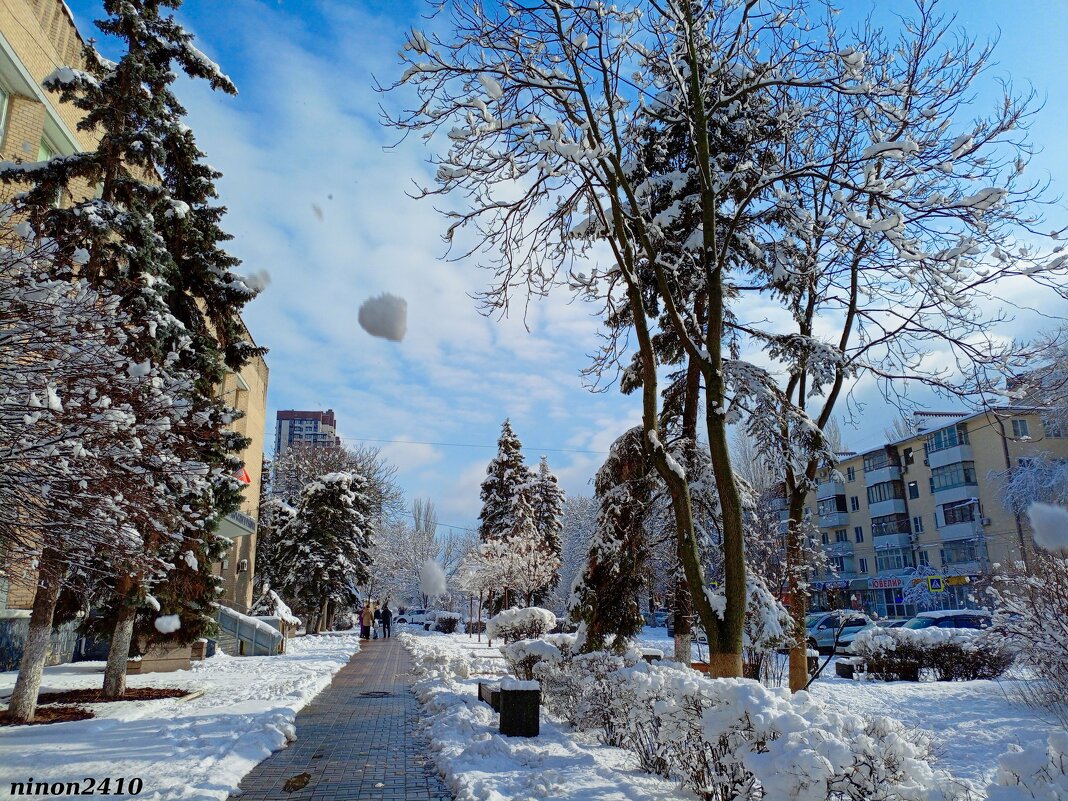 Зима в Ростове-на-Дону - Нина Бутко Зима в Ростове-на-Дону - Нина Бутко
