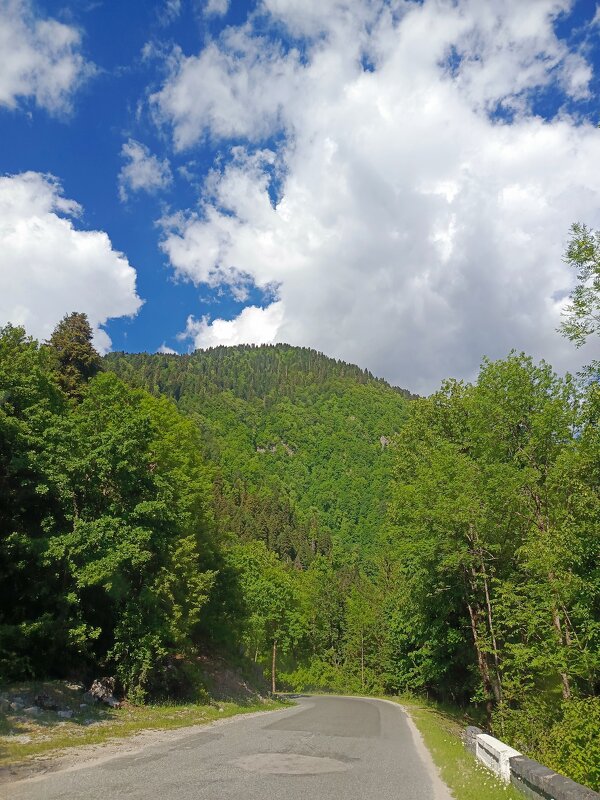 Горы Абхазии - Татьяна Пальчикова