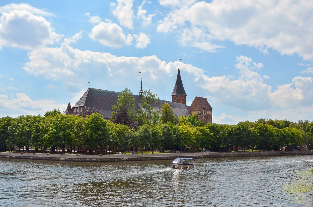 Вид на кафедральный собор - Алексей Просвиряков