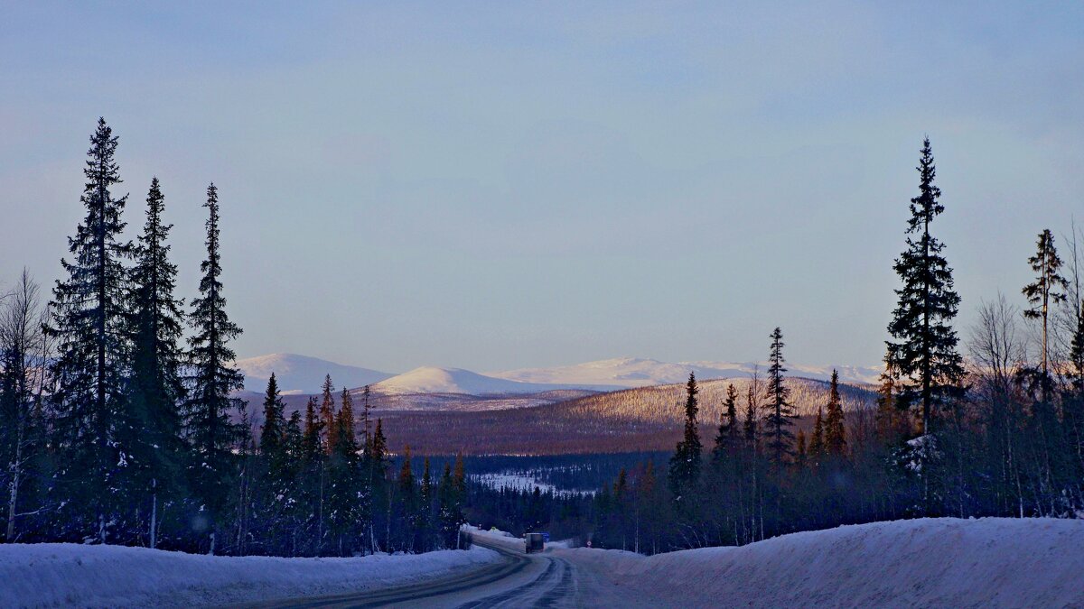 Впереди сопки - Сергей Швечков