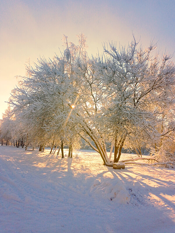 Зимний день в парке  Эрувиль Сен-Клер - Сергей Кочнев