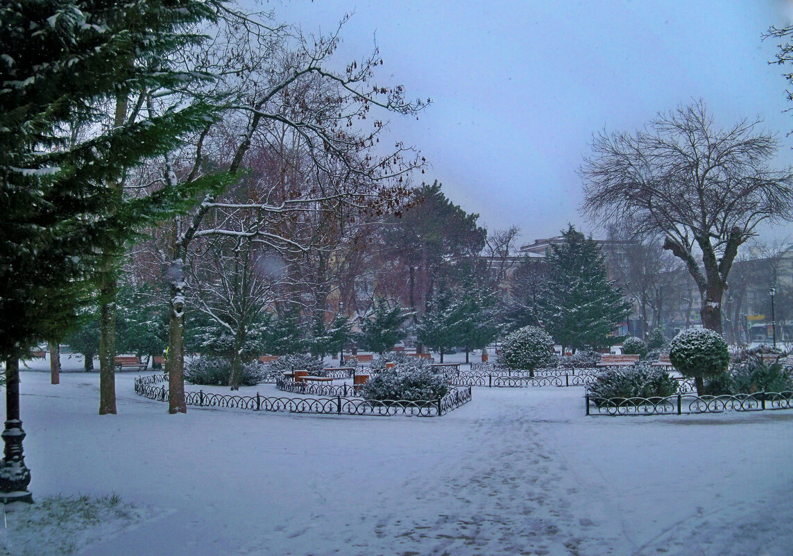 Парк  Тренёва  в снегу - Валентин Семчишин