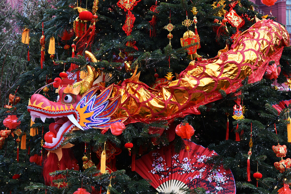 Китайский Новый год в Москве. - Наташа *****