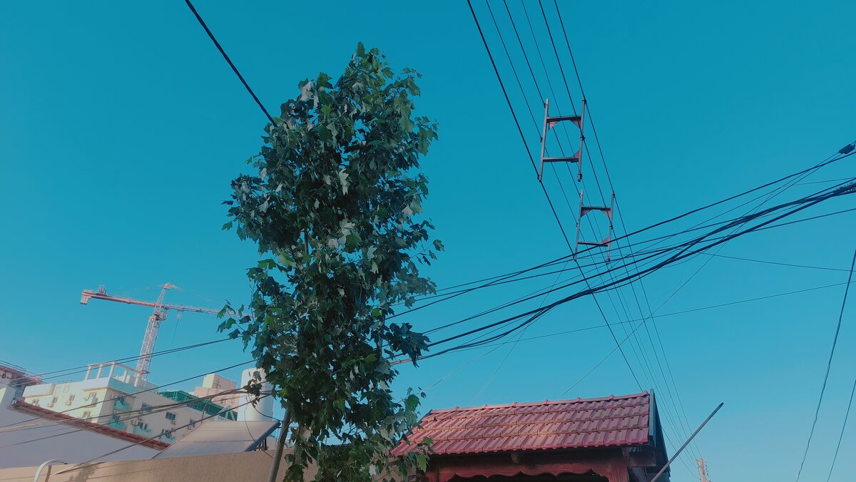 12  КЛОС (500) - CLOSE WAYS ALL