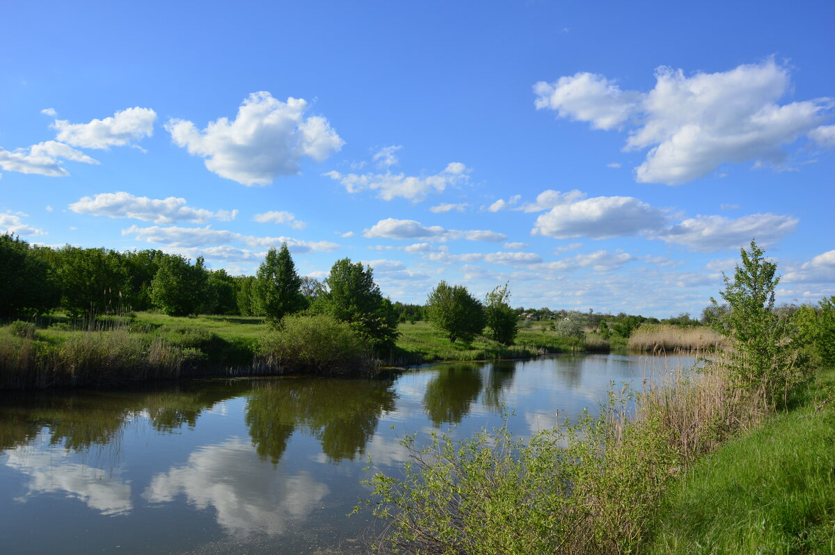 Донские виды. - Виктор 