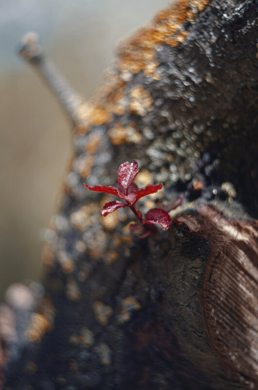 В канун наступившей осени. - Анатолий Щербак