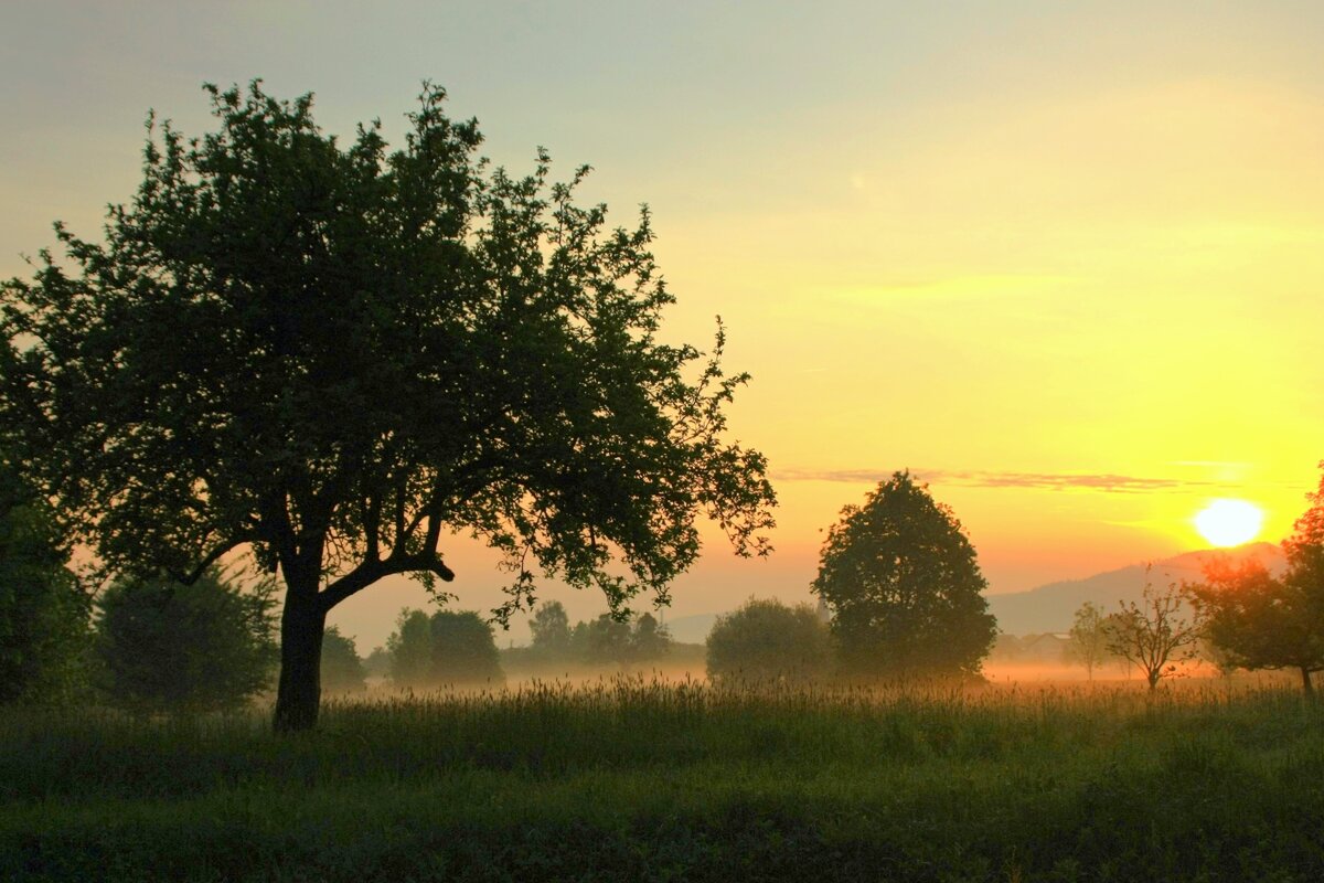 Утра раннего картина - Юрий. Шмаков