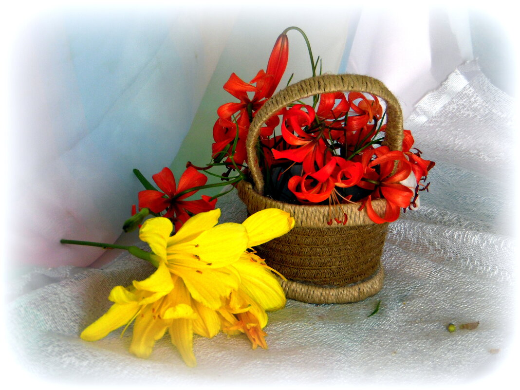 Летние цветы. - nadyasilyuk Вознюк