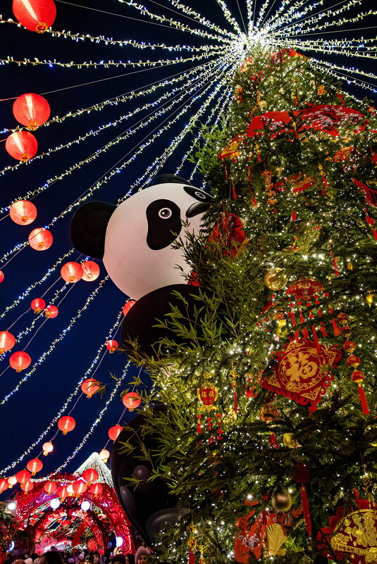 .... - Павел Катков .... - Павел Катков