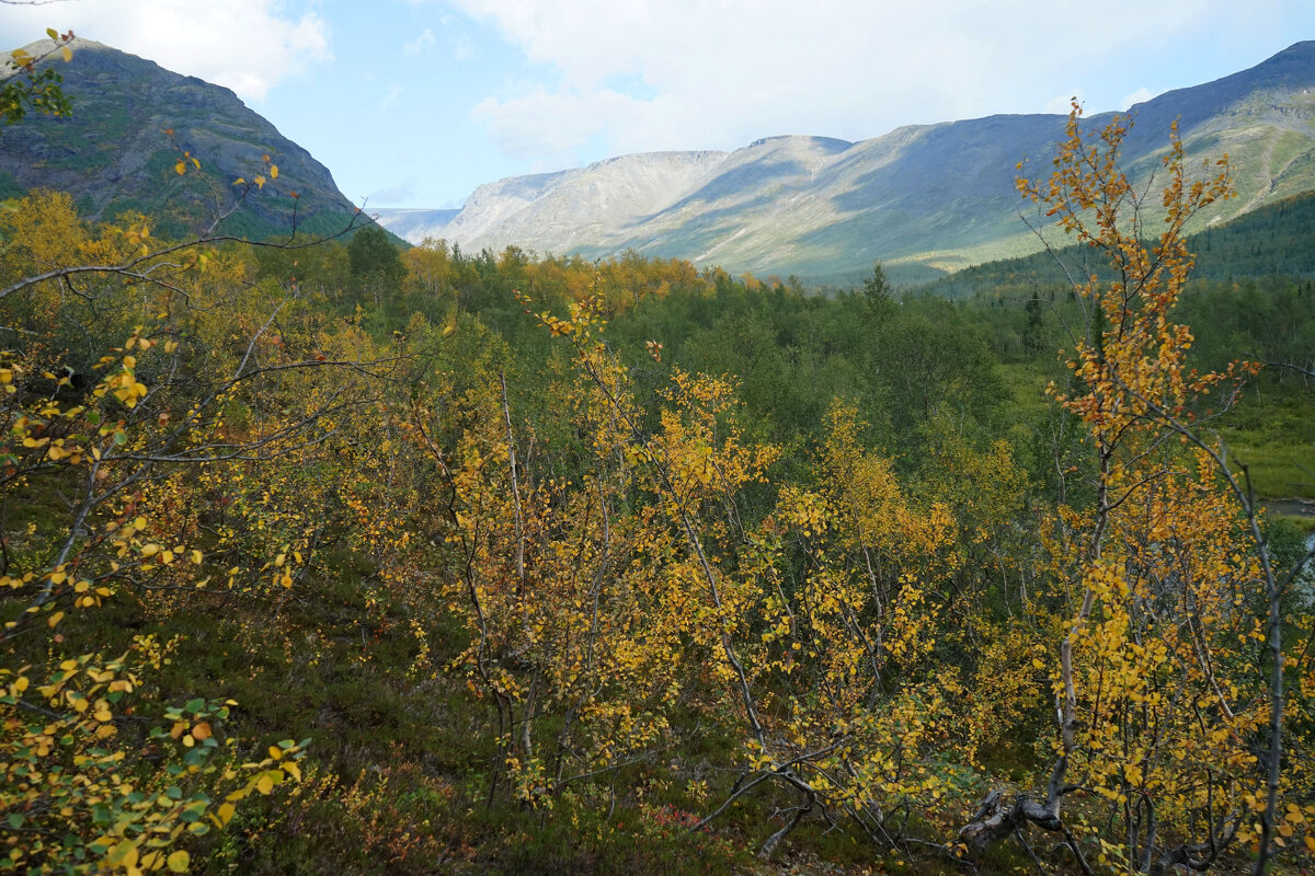Начало осени в Хибинах - Анастасия Софронова Начало осени в Хибинах - Анастасия Софронова