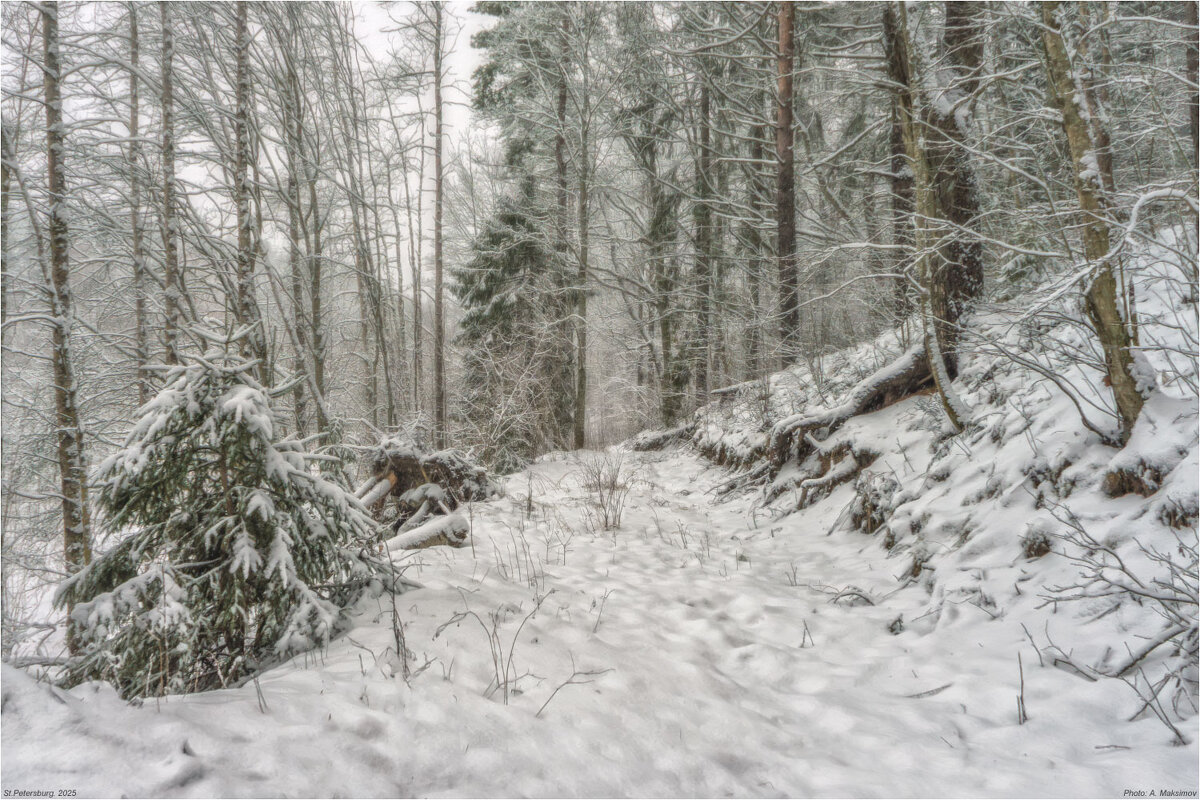 Пасмурный день. - Александр Максимов Пасмурный день. - Александр Максимов