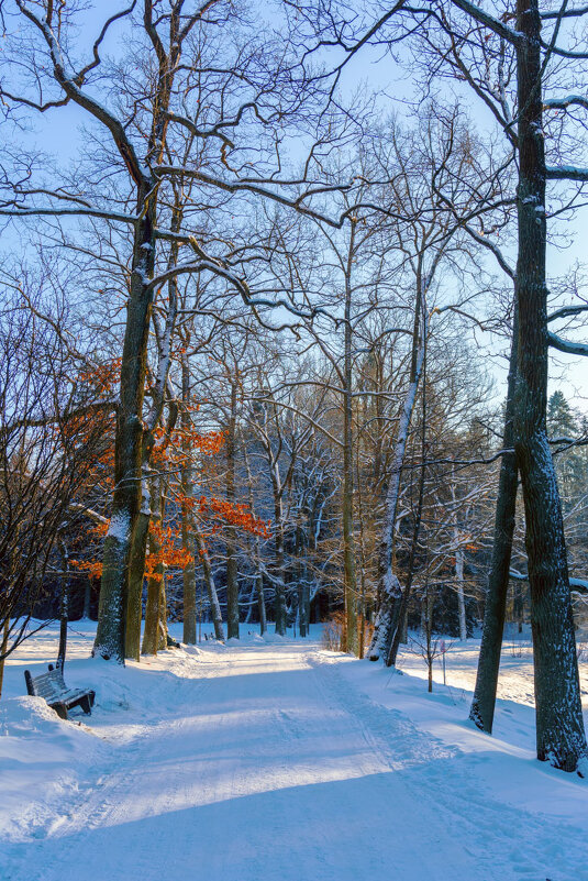 В парке - vladimir Б