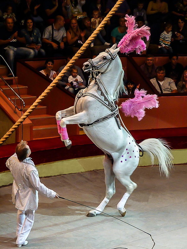 Сентаво - Наталья Rosenwasser Сентаво - Наталья Rosenwasser