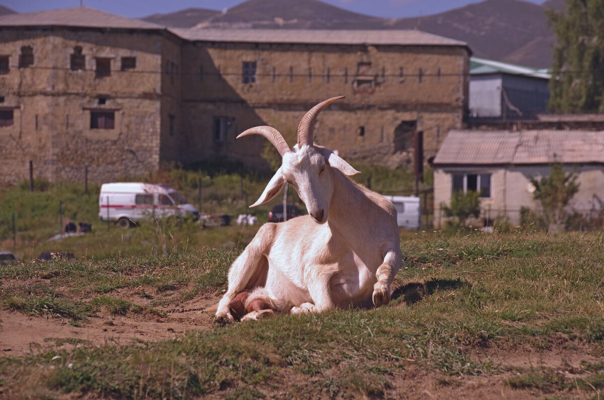 Фотосессия - Сергей Швечков