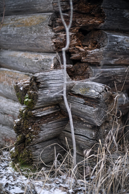 Порыхлость - sorovey Sol Порыхлость - sorovey Sol