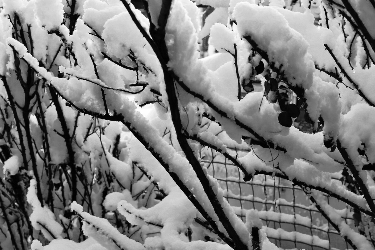 Выпал! - Юрий Гайворонскiий Выпал! - Юрий Гайворонскiий