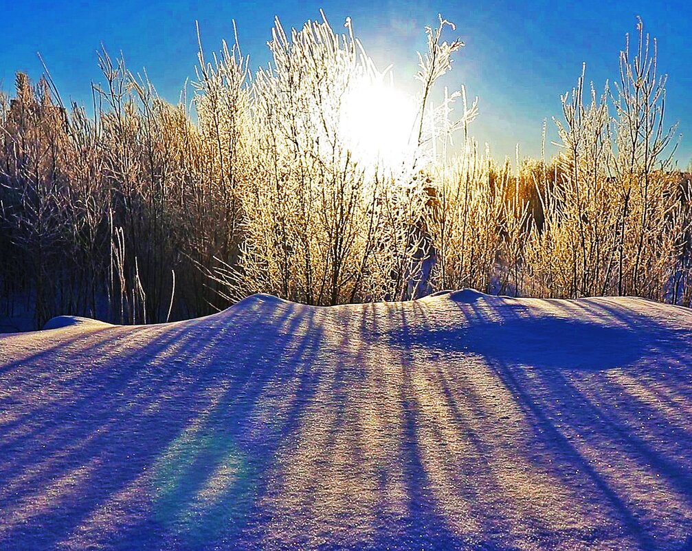 Январь...Солнце взошло! - Владимир 