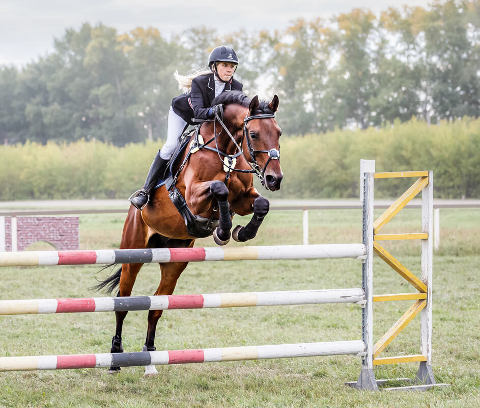 Конкур - SanSan 