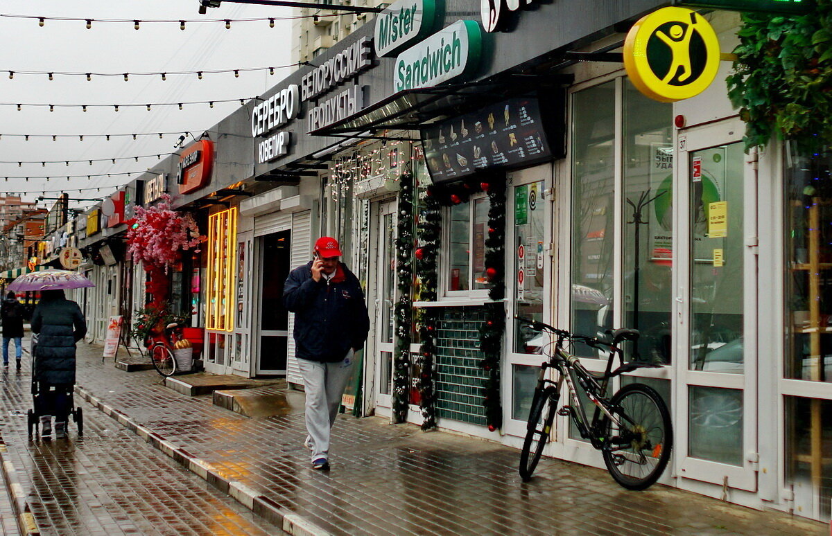 Шёл мелкий дождь... - Николай Саржанов