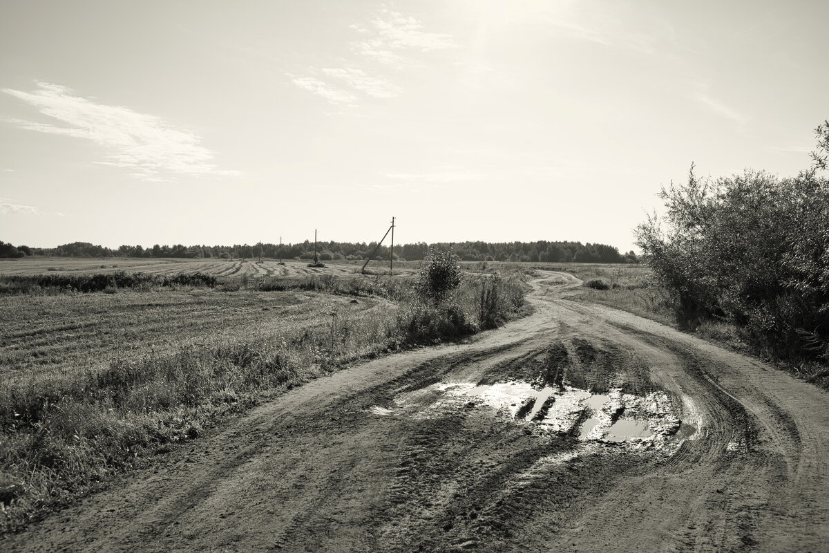 Название отсутствует - Денис Безногов Название отсутствует - Денис Безногов