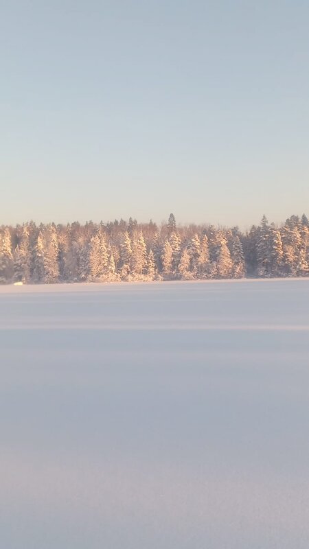Белое безмолвие. - Ольга Белое безмолвие. - Ольга