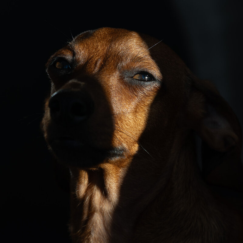 Я всё вижу - Lala 