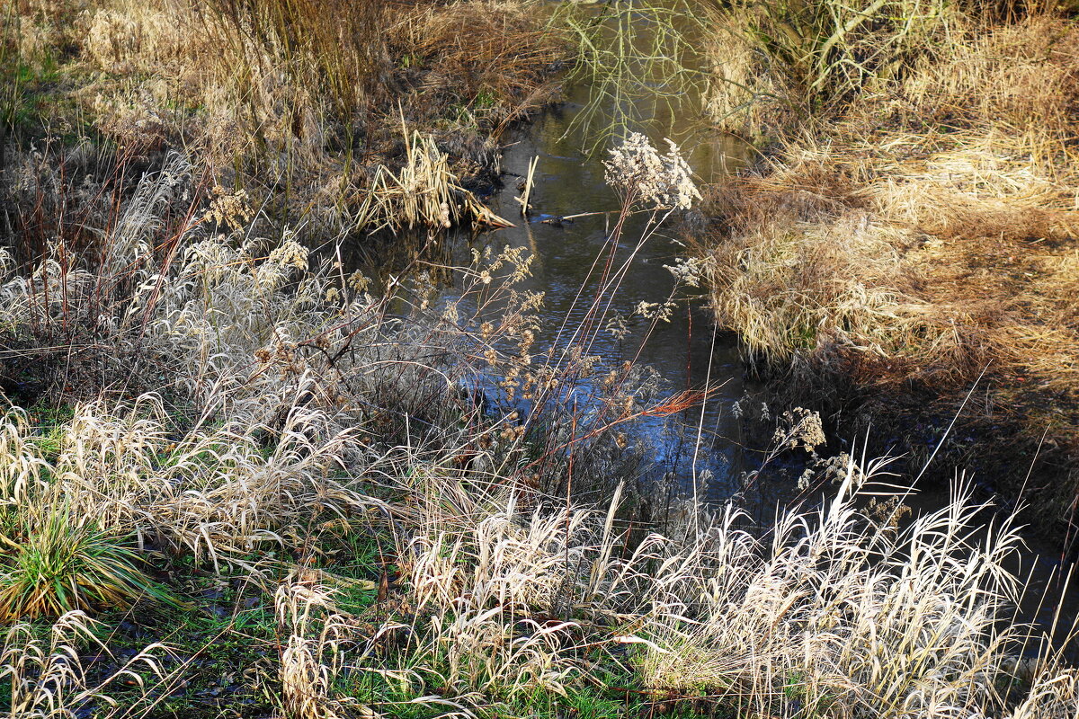 Зарисовка - Рита Симонова