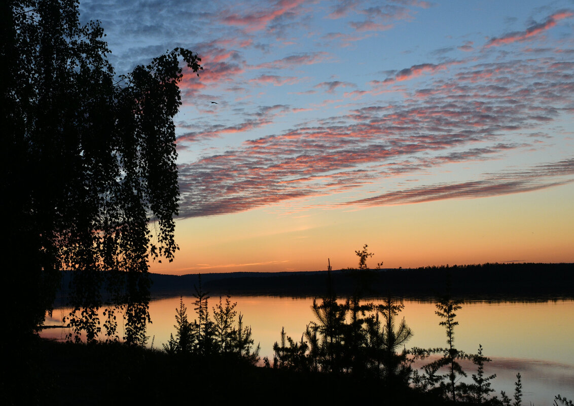 Силуэты заката - Сергей Шаврин