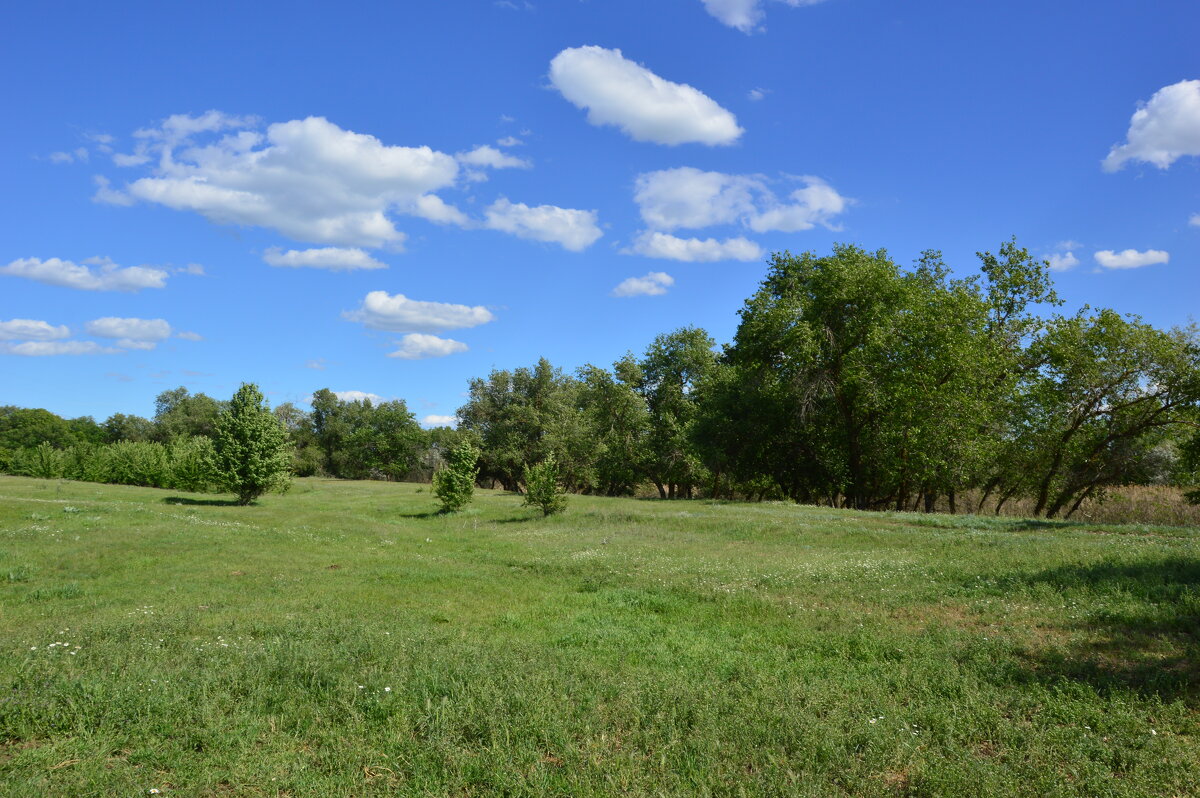 Весна. - Виктор 