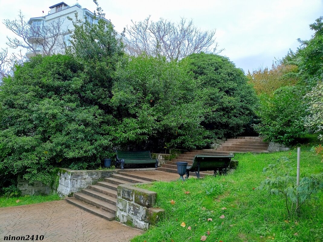 Адлер. Дендропарк "Южные культуры" - Нина Бутко